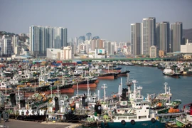 Quang cảnh cảng hàng hóa ở Busan (Hàn Quốc). (Ảnh: THX/TTXVN)