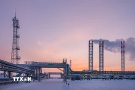 Một cơ sở khai thác khí đốt ở gần thành phố Novy Urengoi (Nga). (Ảnh: Getty Images/TTXVN)