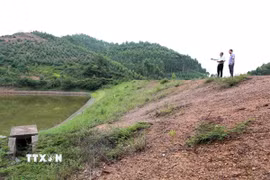 Ảnh minh họa. (Ảnh: TTXVN)