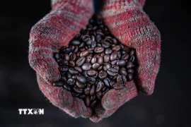 (Ảnh: AFP/TTXVN)