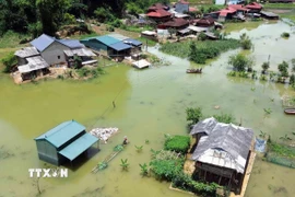 Những trận mưa kéo dài khiến bản Phiêng Nghè, phường Chiềng An (tỉnh Sơn La) bị ngập úng, có nới ngập sâu từ 2-3m. (Ảnh: Quang Quyết/TTXVN)