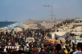 Người dân Palestine trở về nhà tại Dải Gaza, ngày 10/10/2025. (Nguồn: THX/TTXVN)