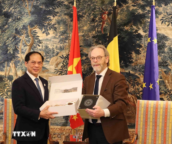 Vice premiärminister Bui Thanh Son och ordföranden för Belgiens representanthus, Peter De Roover. (Foto: Huong Giang/VNA) ttxvn-bi-2.jpg