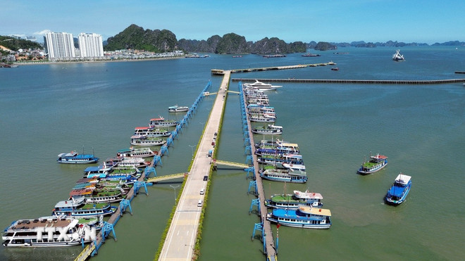 Các tàu du lịch neo đậu tại Cảng tàu khách quốc tế Hạ Long (Quảng Ninh). (Ảnh: Đức Hiếu/TTXVN) ttxvn-0108-quang-ninh-1.jpg