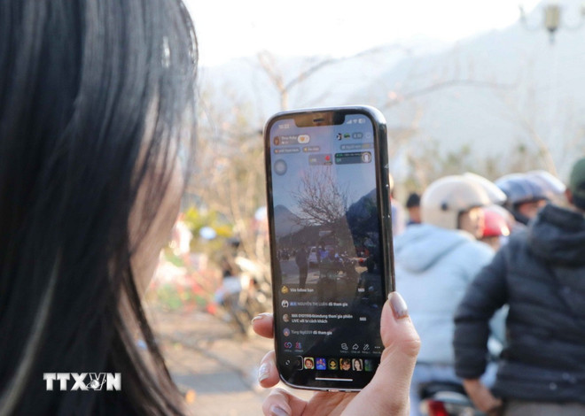 De nombreuses personnes vendent des fleurs de pêcher en direct sur les réseaux sociaux, directement au marché aux fleurs du Têt, à Lai Chau. (Photo : Nguyen Oanh/VNA) ttxvn-30-lai-chau-cnghe-so.jpg