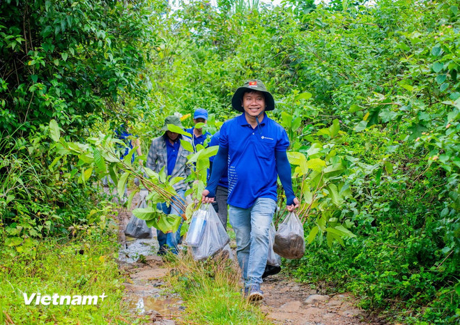 Đại hội XIV của Đảng: Nền tảng mới cho động lực tăng trưởng xanh vnp-rung.jpg