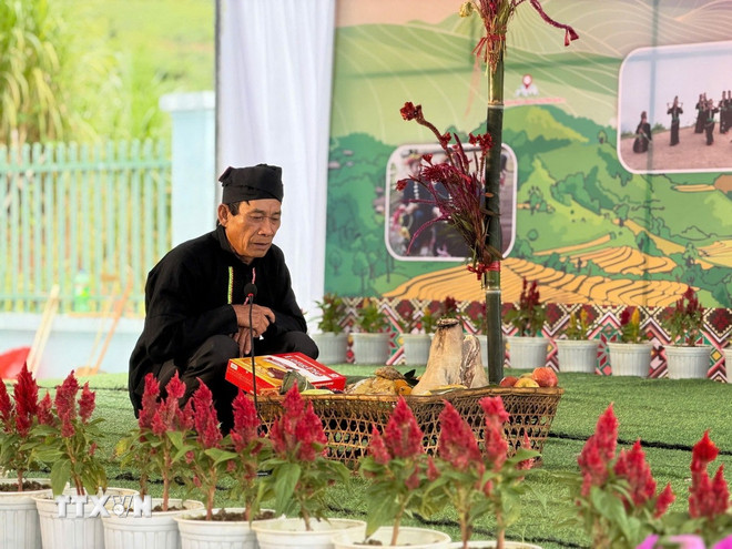 Целозия — символ традиционного Нового года народности конг. (Фото: VNA) ttxvn-dbien.jpg