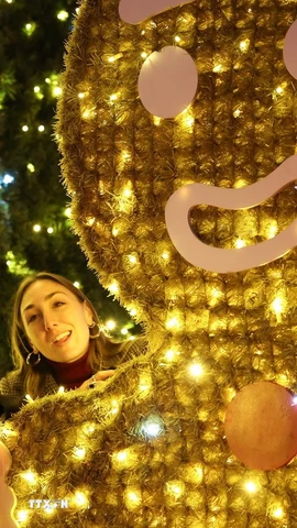 Công viên được trang hoàng rực rỡ đón Giáng sinh tại Rome, Italy. (Nguồn: THX/TTXVN)