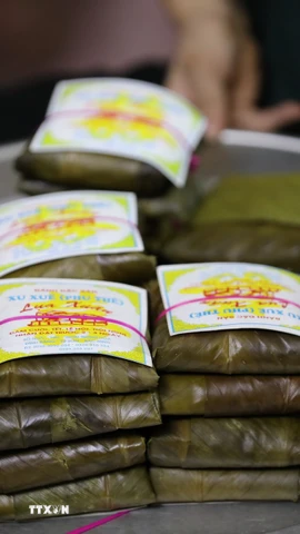 Những cặp bánh buộc lạt giang xinh xắn nằm gọn trong lá xanh, như những lời chúc bình an được gói ghém cẩn thận. (Ảnh: Đỗ Huyền/TTXVN)