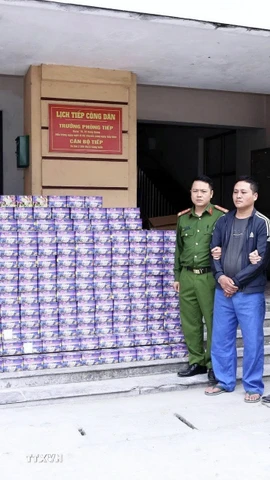 Đối tượng Trần Văn Trí và số tang vật bị cơ quan Công an thu giữ. (Ảnh: TTXVN phát)