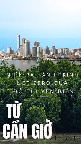 Từ Cần Giờ nhìn ra hành trình Net Zero của đô thị ven biển