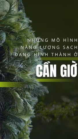 Những mô hình năng lượng sạch đang hình thành ở Cần Giờ
