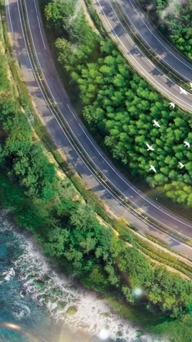 Giải chạy VnExpress Marathon Green Paradise Cần Giờ sẽ khởi tranh vào sáng ngày 1/5, hưởng ứng Ngày Thể thao Việt Nam và chào mừng các ngày lễ lớn Giải phóng miền Nam 30/4, Quốc tế Lao động 1/5. (Nguồn: Vietnam+)