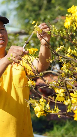 (Ảnh minh họa: Minh Phú/TTXVN)