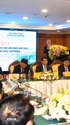 Quang cảnh Hội nghị Xúc tiến thương mại, du lịch và đầu tư tỉnh Lâm Đồng năm 2026 tại thủ đô Phnom Penh, Vương quốc Campuchia. (Ảnh: Minh Hưng/TTXVN)