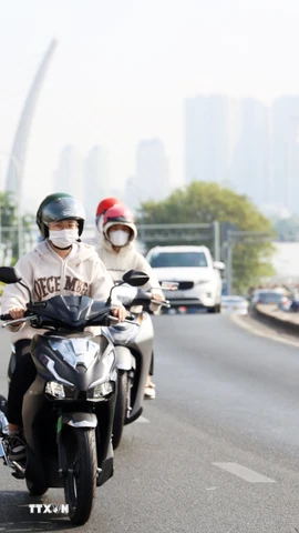(Ảnh minh họa. Hồng Đạt/TTXVN)