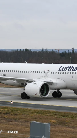 Máy bay của hãng hàng không Lufthansa tại sân bay Frankfurt, Đức. (Nguồn: THX/TTXVN)