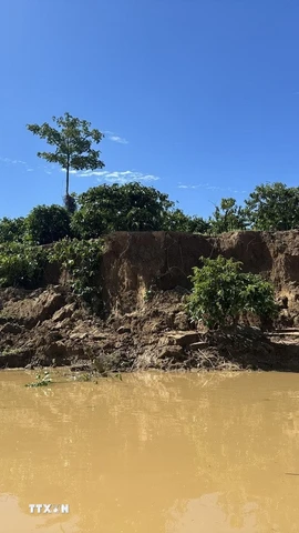 Sạt lở đất ven sông Krông Nô, đoạn qua xã Quảng Phú, tỉnh Lâm Đồng do ảnh hưởng của mưa lũ. (Ảnh: Hưng Thịnh/TTXVN)