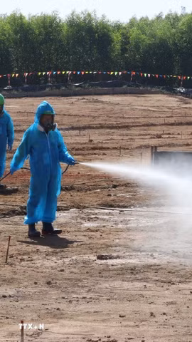 Phun xịt, xử lý dioxin tại sân bay Biên Hòa. (Ảnh minh họa: Công Phong/TTXVN)