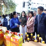 Triển lãm sẽ diễn ra từ ngày 26/12 đến ngày 28/12, quy tụ các sản phẩm tiêu biểu của thanh niên nông thôn cả nước. (Ảnh: PV/Vietnam+)