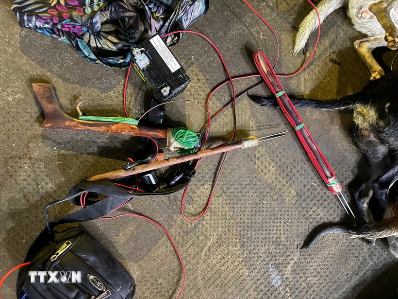 Súng điện tự chế của các đối tượng để bắn chó. (Ảnh: TTXVN phát)