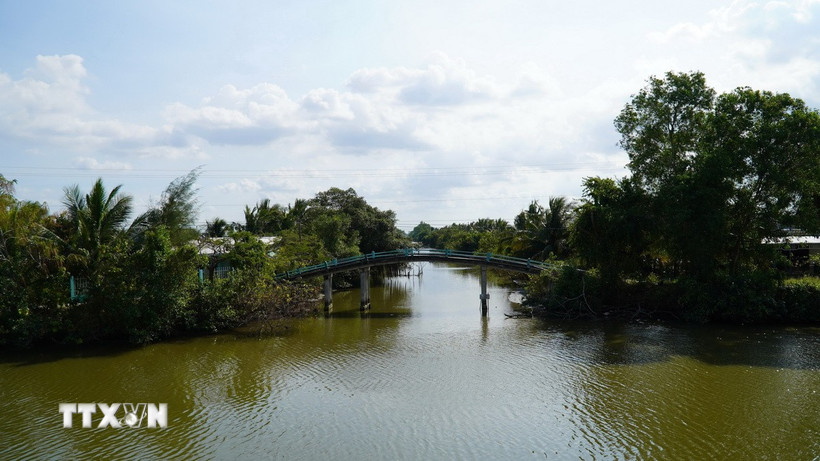 Độ mặn ở kênh Bảy Biển, xã Nam Thái A, huyện An Biên, từ đầu tháng 2/2025 đến nay có lúc lên đến 30‰-35‰. (Ảnh: Văn Sĩ/TTXVN)