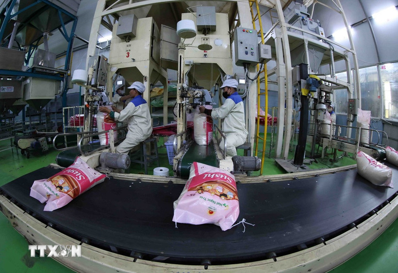 Đóng gói gạo xuất khẩu. (Ảnh: Vũ Sinh/TTXVN)