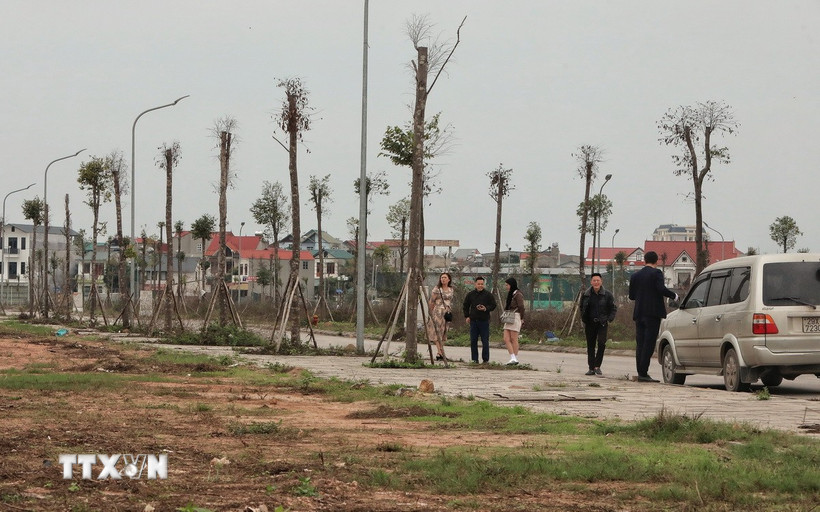 Các nhà đầu tư khảo sát thị trường bất động sản tại khu đô thị phía Nam tỉnh Bắc Giang. (Ảnh: Danh Lam/TTXVN)
