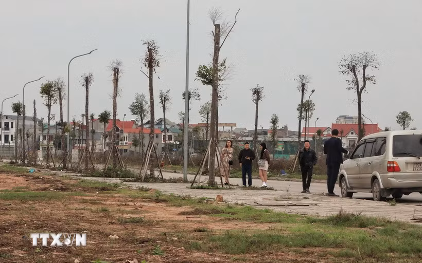 Các nhà đầu tư khảo sát thị trường bất động sản tại khu đô thị phía Nam tỉnh Bắc Giang. (Ảnh: Danh Lam/TTXVN)