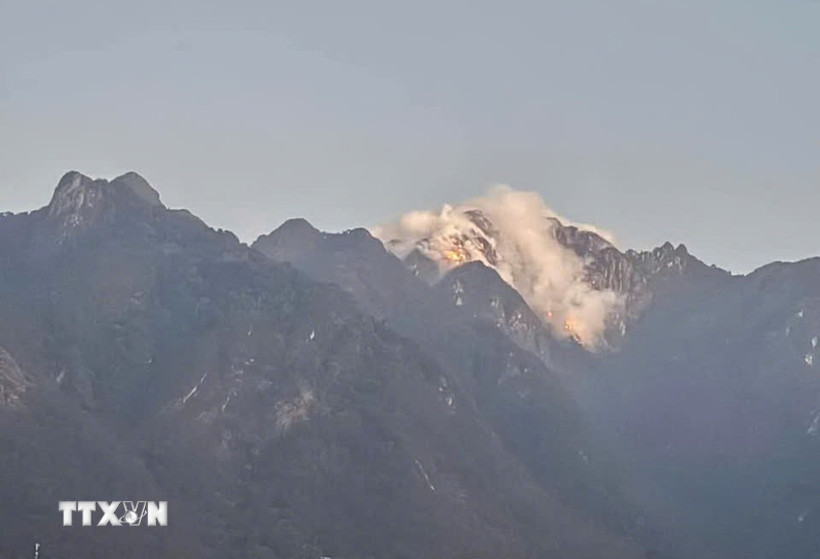 Khu vực xảy ra cháy rừng. (Ảnh: TTXVN phát)