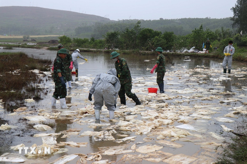 Váng dầu tràn ra ruộng sản xuất lúa của người dân xã Vạn Tường. (Ảnh: Phạm Cường/TTXVN)