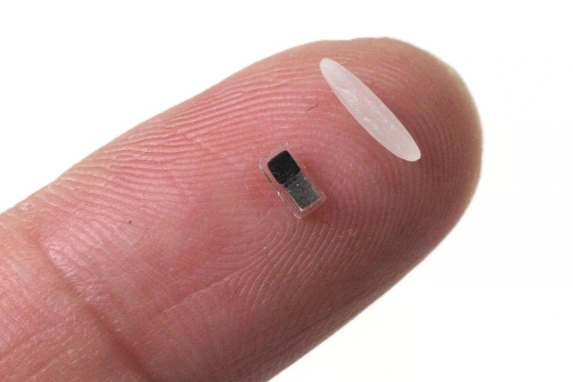 Máy tạo nhịp tim nhỏ nhất thế giới có kích thước chỉ ngang một hạt gạo. (Nguồn: SA).