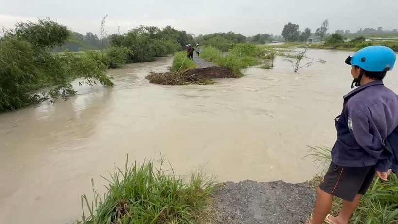 Khu vực Suối Giữa đoạn chảy qua các phường Tương Bình Hiệp, Chánh Mỹ và Hiệp Thành xảy ra tình trạng vỡ bờ bao, dòng nước tràn vào khu dân cư, gây thiệt hại về tài sản và hoa màu của hàng chục hộ dân. (Ảnh: Dương Chí Tưởng/TTXVN)