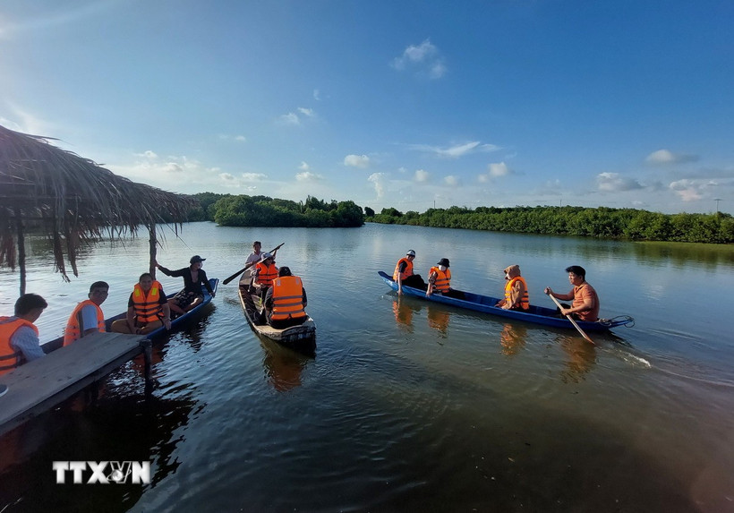 Du khách trải nghiệm bơi xuồng dưới tán rừng đước tại các xã biển thuộc Cù lao Bảo, tỉnh Vĩnh Long. (Ảnh: Chương Đài/TTXVN)