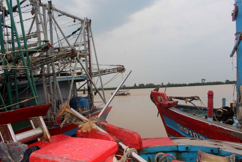 Các phương tiện vào nơi tránh trú bão an toàn. (Ảnh: Nguyễn Nam/TTXVN)