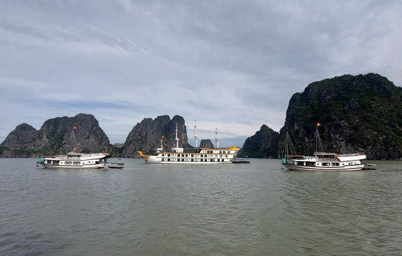 Một số tàu du lịch ở thành phố Hạ Long di chuyển về nơi tránh trú bão an toàn. (Ảnh: Văn Đức/TTXVN)
