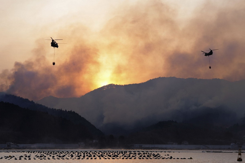 Trực thăng được huy động dập lửa cháy rừng tại Ofunato, tỉnh Iwate, Nhật Bản, ngày 4/3/2025. (Ảnh: Kyodo/TTXVN)