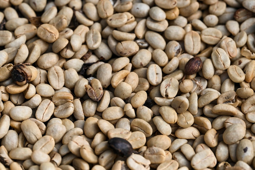 Hạt càphê được phơi tại nông trại ở Miranda, Venezuela. (Ảnh: AFP/TTXVN)