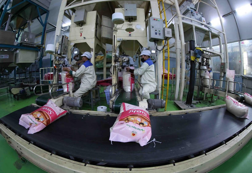 Senegal đang là thị trường tiềm năng cho xuất khẩu gạo của Việt Nam. (Ảnh: Vũ Sinh/TTXVN)