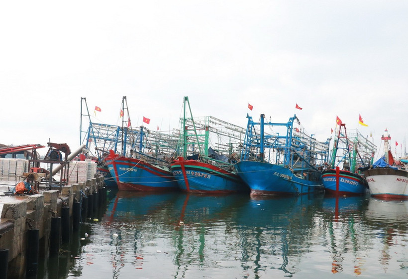 Tàu cá vào neo đậu tại Bến cá Bắc Cửa Việt, huyện Gio Linh (Quảng Trị) để tránh trú bão số 1. (Ảnh: Nguyên Lý/TTXVN)