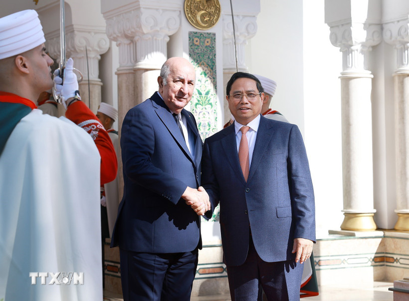 Thủ tướng Phạm Minh Chính hội kiến Tổng thống Algeria Abdelmadjid Tebboune. (Ảnh: Dương Giang/TTXVN)