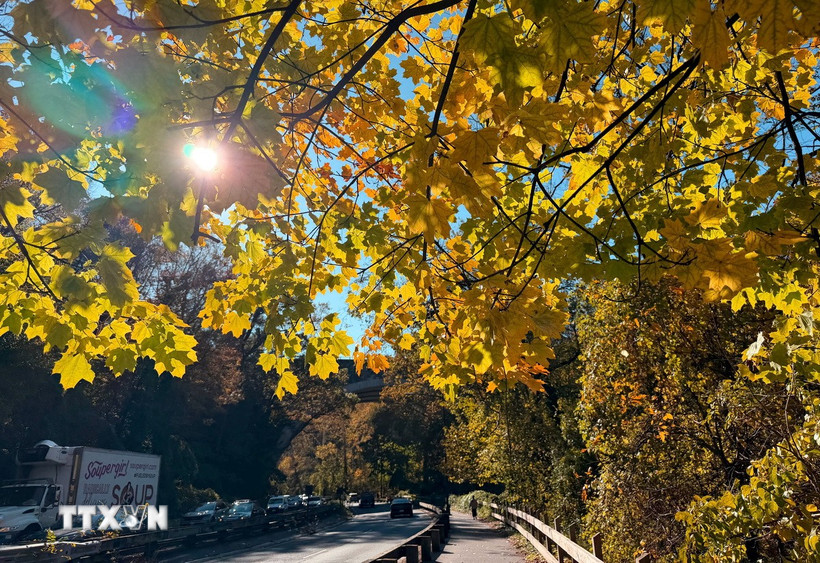 Lợi ích của ánh nắng mặt trời. (Ảnh: Ngọc Quang/TTXVN)