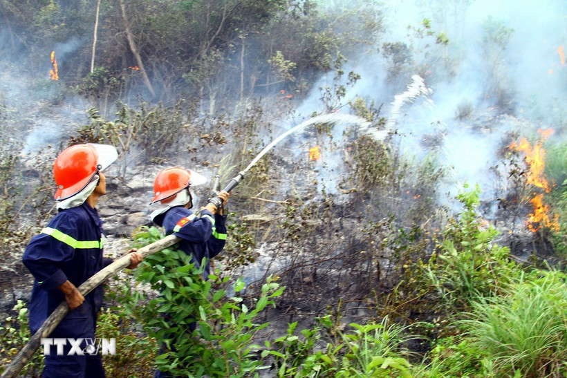 Lực lượng chức năng nỗ lực dập tắt một vụ cháy rừng. (Ảnh minh họa. Nguồn: TTXVN)