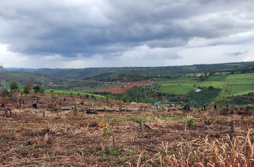 Khu vực xảy ra vụ việc. (Ảnh: TTXVN phát)