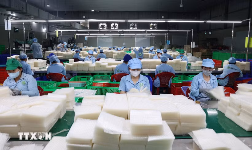 Hoạt động sản xuất tại một doanh nghiệp ở Tây Ninh. (Nguồn: TTXVN)