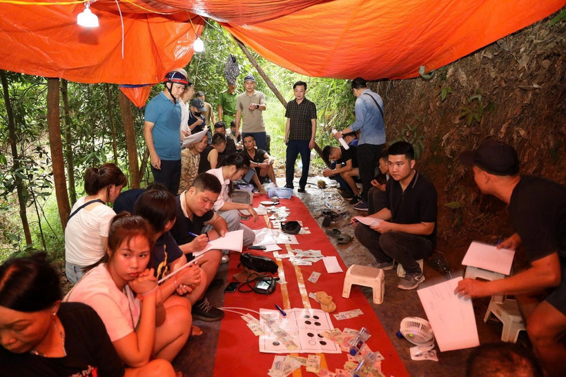 Hiện trường vụ bắt giữ các đối tượng đánh bạc trên đồi quế tại huyện Bảo Thắng, Lào Cai. (Ảnh: TTXVN phát)