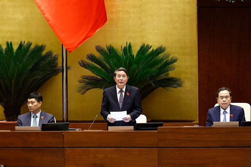 Phó Chủ tịch Quốc hội Nguyễn Đức Hải phát biểu. (Ảnh: Doãn Tấn/TTXVN)