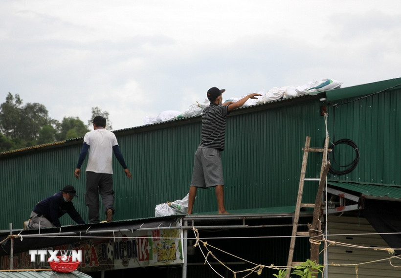Người dân Nghệ An gia cố mái tôn, ứng phó với bão số 5. (Ảnh: Văn Tý/TTXVN)