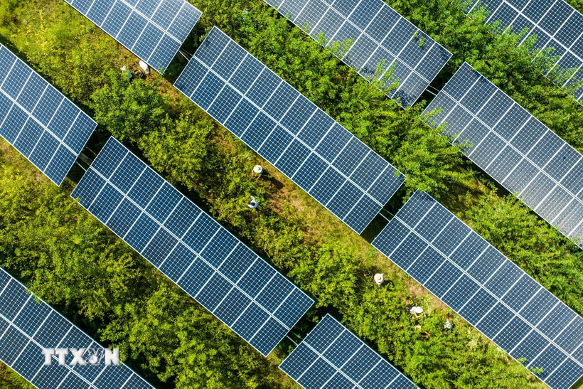 Tấm năng lượng mặt trời. (Ảnh: AFP/TTXVN)