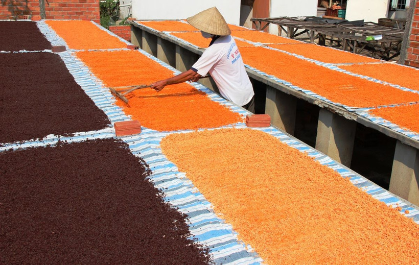 Quy trình sản xuất muối tôm, muối ớt tại một cơ sở ở Tây Ninh. (Ảnh: Lê Đức Hoảnh/TTXVN)